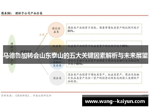 马德鲁加转会山东泰山的五大关键因素解析与未来展望